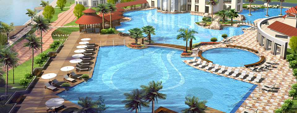 ����ʢ��̬����ľ