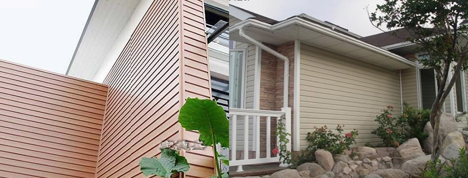 ����ʢ��̬����ľ